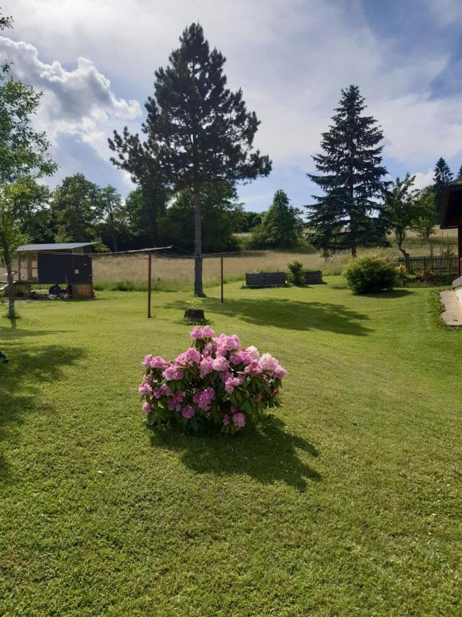 Ferienwohnung Johanna Sankt Georgen im Gailtal Екстер'єр фото