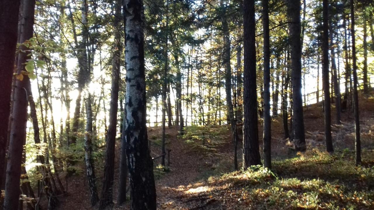 Ferienwohnung Johanna Sankt Georgen im Gailtal Екстер'єр фото