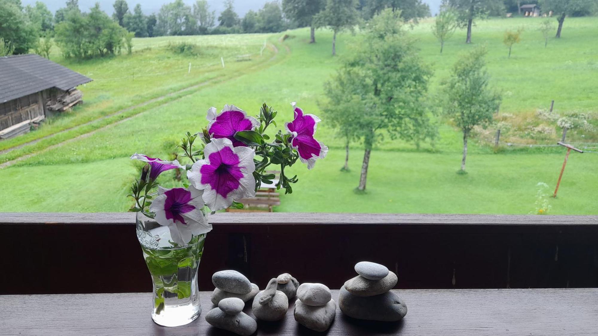 Ferienwohnung Johanna Sankt Georgen im Gailtal Екстер'єр фото
